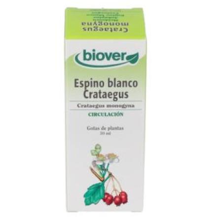 EXT. CRATAEGUS MONOGYNA (espino blanco) 50ml.