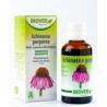 EXT. ECHINACEA PURPUREA (echinacea) 50ml.