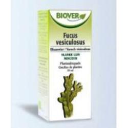 EXT. FUCUS VESICULOSUS (fucus) 50ml.