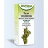 EXT. FUCUS VESICULOSUS (fucus) 50ml.