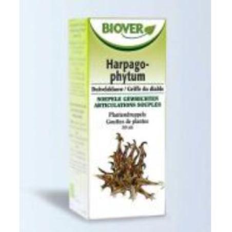 EXT. HARPAGOPHYTUM PROCUMBENS (harpago) 50ml.