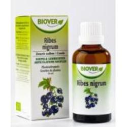 EXT. RIBES NIGRUM (grosellero negro) 50ml.