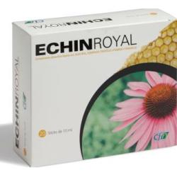 ECHIN ROYAL 20amp.