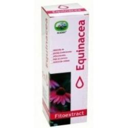 EXT.ECHINACEA 50ml