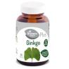 GINKGO BILOBA 90cap.