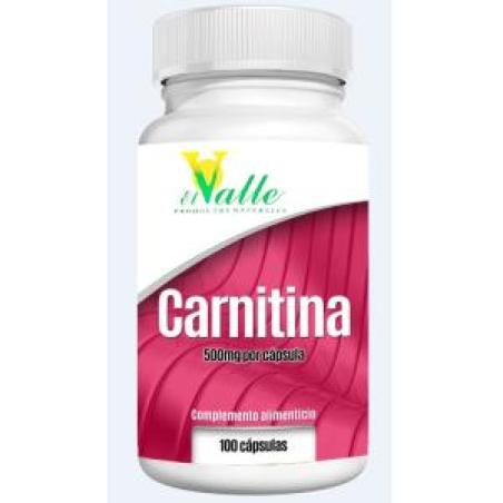 L-CARNITINA 100cap.