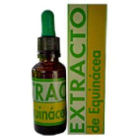 EXT.ECHINACEA 31ml.