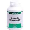 HOLOFIT BOSWELLIA FITOSOMADA 180cap.