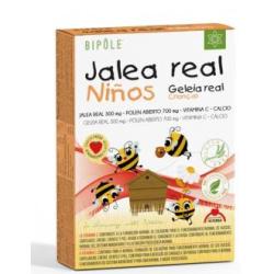 BIPOLE JALEA REAL FRESCA INFANTIL 20amp.