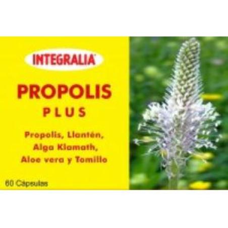 PROPOLIS plus 60cap.