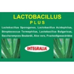 LACTOBACILLUS plus 60cap.