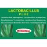 LACTOBACILLUS plus 60cap.