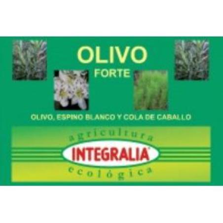 OLIVO forte ECO 60cap.