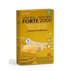 BIPOLE JALEA REAL forte 2000 20amp.