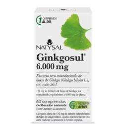 GINKGOSUL (trastornos circulatorios) 60comp.