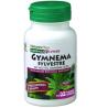 GYMNEMA SILVESTRIS 60cap.