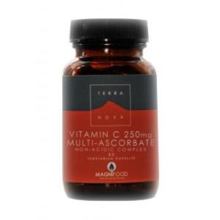 VITAMINA C 250mg. 100vcap.