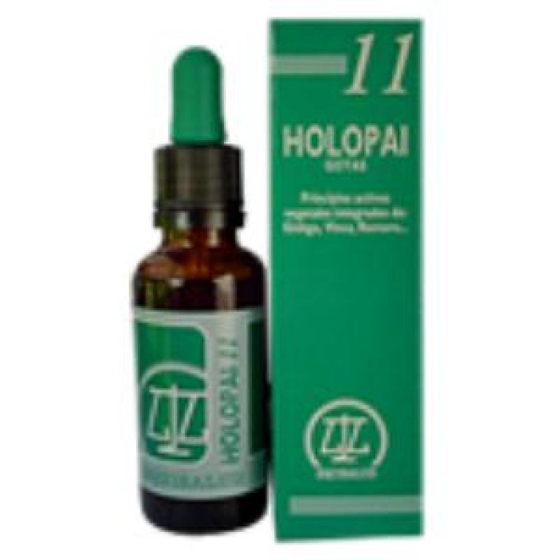 PAI-11 HOLOPAI (CIRCULACION CEREBRAL)