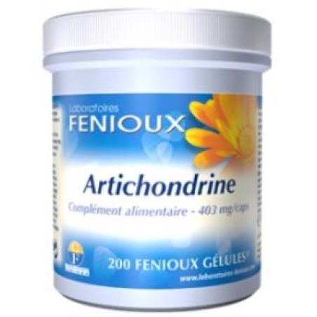 ARTICHONDRINE 200cap.