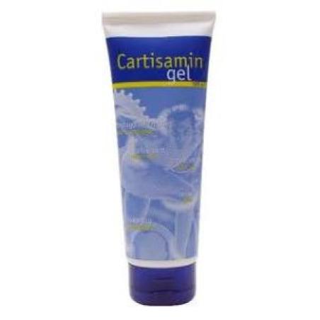 GEL CARTISAMIN 120ml.