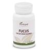 FUCUS 100comp.