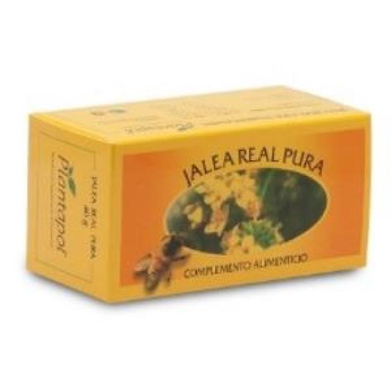 JALEA REAL FRESCA 20gr. (REFRIGERACION)