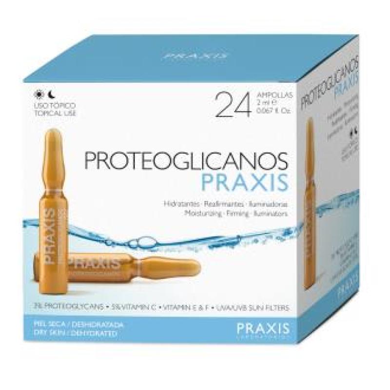 PROTEOGLICANOS 24amp.