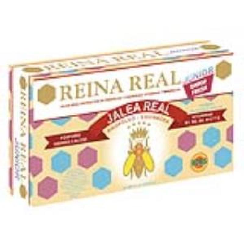 REINA REAL junior 20amp.