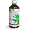 ALOE VERA 1litro