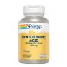 ACIDO PANTOTHENIC 500mg. 100cap.