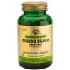 GINKGO BILOBA-hoja-60vegicaps