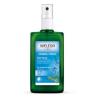 DESODORANTE ESENCIAS VEGETALES (SALVIA) 100 ml