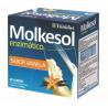 MOLKESOL enzimatico vainilla 30sbrs.