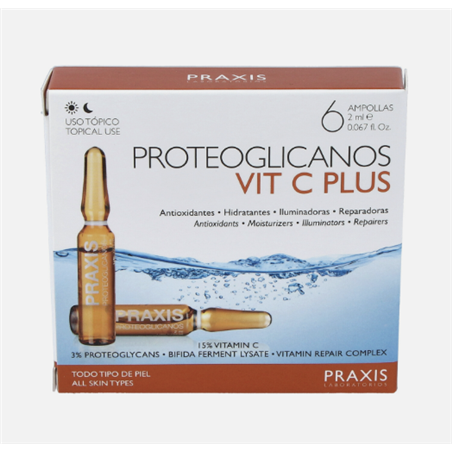 PROTEOGLICANOS VIT C PLUS 6amp.