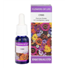 FLOWER OF LIFE crisis 15ml.