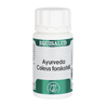 HOLOFIT AYURVEDA coleus forskohlii 50cap.