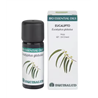 BIO ESSENTIAL OILS eucalipto aceite esencial 10ml.