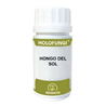 HOLOFUNGI hongo del sol 50cap.