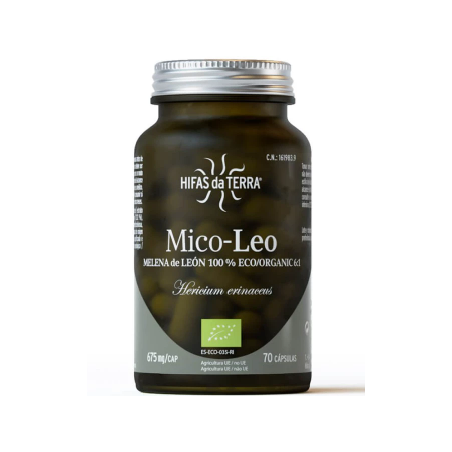 MICO LEO (melena de leon) con vit. C HDT 70cap.