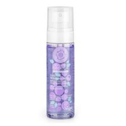 ANTI-OX WILD BLUEBERRY tonico-mist facial 100ml.