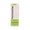 LAVANDIN SUPER SUMIDAD FLORIDA 10 ML