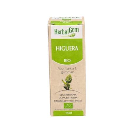 HIGUERA BIO 15 ML