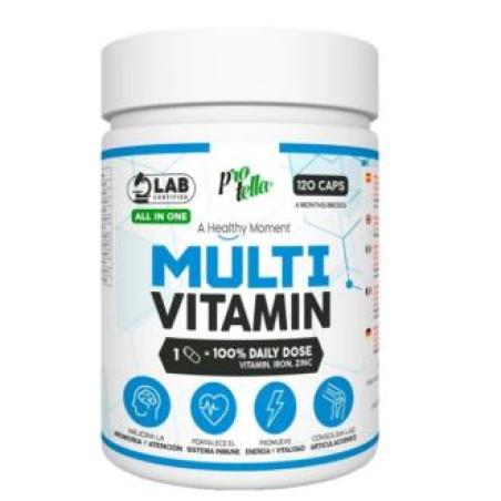 MULTIVITAMINICO vitaminas+hierro+zinc 120cap.