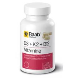 VITAMINA D3+K2+B12 460mg 60 cap VEGAN SG