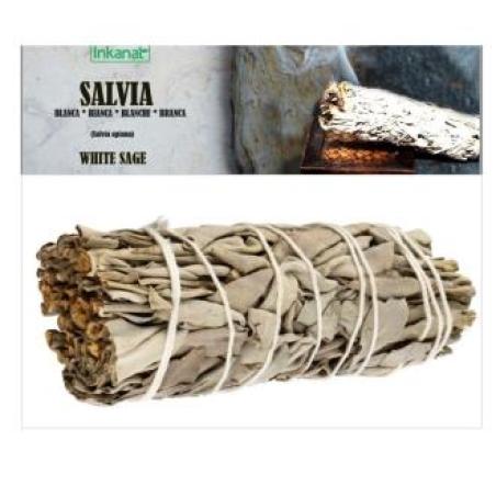 SALVIA BLANCA ATADO 10cm bolsa 1Uud.
