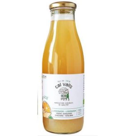 LIMONADA CON MANZANA-JENGIBRE sin azucar añadido 750 ml ECO