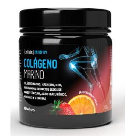 ARTISIX COLAGENO MARINO 300 gr