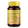 HARPAGOFITO 150 mg.(ext. seco) 60 comp