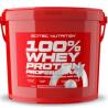 100% WHEY PROTEIN PROF. 5000G FRESA