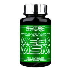 MEGA MSM 100 CAPS